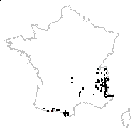 Hippion campestre (L.) F.W.Schmidt - carte des observations