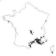 Erodium ciconium (L.) L'Hér. - carte des observations