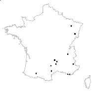 Narcissus sp. - carte des observations