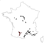 Xanthium orientale L. - carte des observations