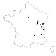 Asarum europaeum L. subsp. europaeum - carte des observations