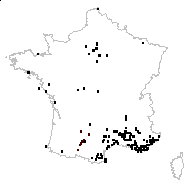 Geranium robertianum var. purpureum (Vill.) DC. - carte des observations