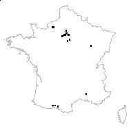 Geranium ×oxonianum Yeo - carte des observations