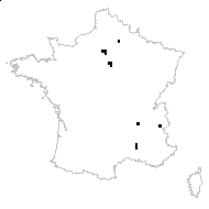 Asclepias syriaca L. - carte des observations