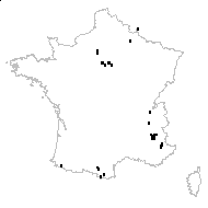 Bupleurum falcatum L. subsp. falcatum var. falcatum - carte des observations