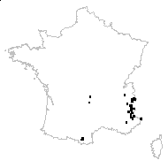 Bupleurum ranunculoides L. subsp. ranunculoides - carte des observations
