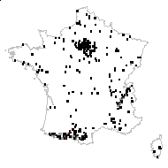 Globularia nudicaulis L. - carte des observations