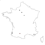 Myriophyllum aquaticum (Vell.) Verdc. - carte des observations