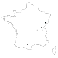 Abies sp. - carte des observations