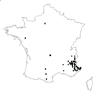 Achillea sp. - carte des observations