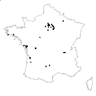 Amaranthus sp. - carte des observations