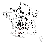 Hypericum humifusum proles liottardii (Vill.) Rouy & Foucaud - carte des observations