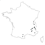 Anthyllis sp. - carte des observations