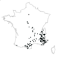 Arabis sp. - carte des observations