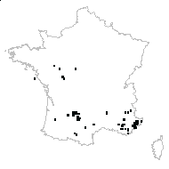 Asparagus sp. - carte des observations