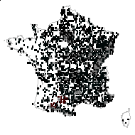 Hypericum commutatum Nolte - carte des observations