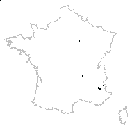 Berberis sp. - carte des observations