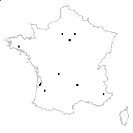Betula sp. - carte des observations