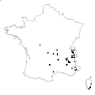 Briza sp. - carte des observations