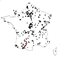 Hypericum acutum Moench - carte des observations