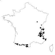 Hypericum richeri Vill. - carte des observations