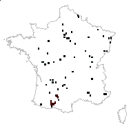 Juglans nigra L. - carte des observations