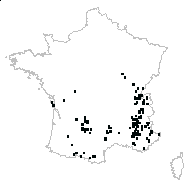 Cephalanthera sp. - carte des observations