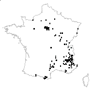 Clinopodium acinos (L.) Kuntze subsp. acinos - carte des observations