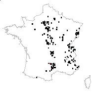 Ajuga astolonosa Schur - carte des observations