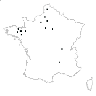 Corylus sp. - carte des observations