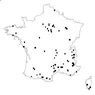 Crepis sp. - carte des observations
