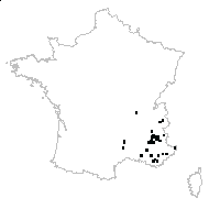 Crocus sp. - carte des observations