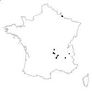 Cystopteris sp. - carte des observations