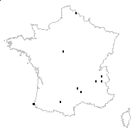 Daucus sp. - carte des observations