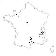 Digitalis sp. - carte des observations