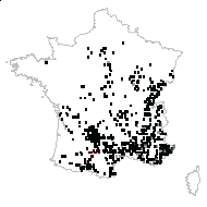 Calamintha brauneana Jáv. - carte des observations