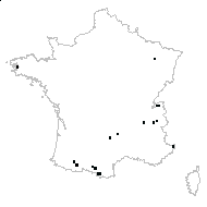 Dryopteris sp. - carte des observations