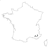 Echinops sp. - carte des observations