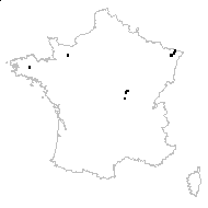 Galeopsis tetrahit proles bifida (Boenn.) Rouy - carte des observations