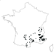 Globularia sp. - carte des observations