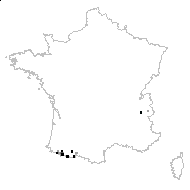 Horminum pyrenaicum L. - carte des observations