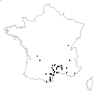 Inula sp. - carte des observations