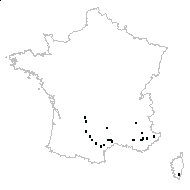 Lavandula sp. - carte des observations