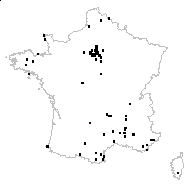 Lamium hybridum Vill. - carte des observations