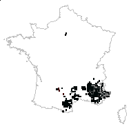 Lavandula spica sensu Bonnier & Layens - carte des observations