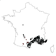 Lavandula latifolia var. tomentosa Briq. - carte des observations