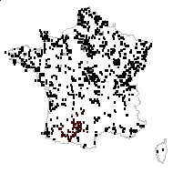 Mentha pyramidalis J.Lloyd - carte des observations