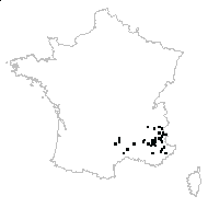 Onobrychis sp. - carte des observations