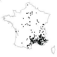 Orchis sp. - carte des observations