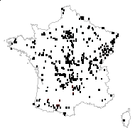 Mentha arvensis L. - carte des observations